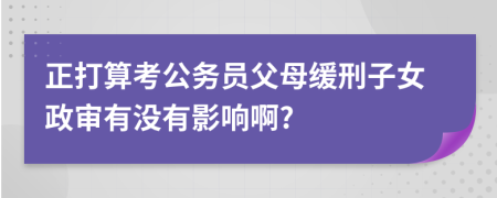 正打算考公务员父母缓刑子女政审有没有影响啊?