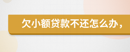 欠小额贷款不还怎么办，
