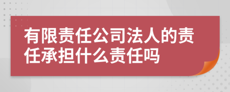 有限责任公司法人的责任承担什么责任吗