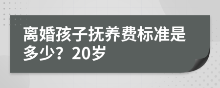 离婚孩子抚养费标准是多少？20岁