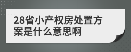 28省小产权房处置方案是什么意思啊