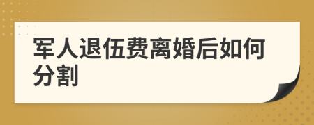 军人退伍费离婚后如何分割