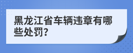 黑龙江省车辆违章有哪些处罚？