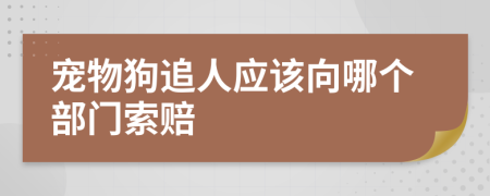 宠物狗追人应该向哪个部门索赔