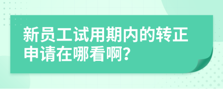 新员工试用期内的转正申请在哪看啊？