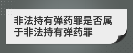 非法持有弹药罪是否属于非法持有弹药罪