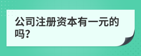 公司注册资本有一元的吗？