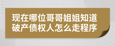 现在哪位哥哥姐姐知道破产债权人怎么走程序