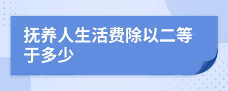 抚养人生活费除以二等于多少
