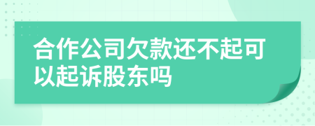 合作公司欠款还不起可以起诉股东吗