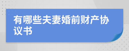 有哪些夫妻婚前财产协议书