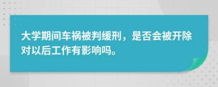 大学期间车祸被判缓刑，是否会被开除对以后工作有影响吗。