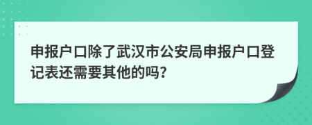 申报户口除了武汉市公安局申报户口登记表还需要其他的吗？