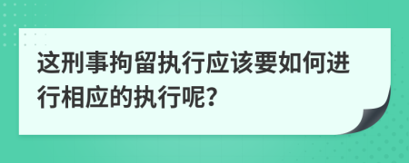 这刑事拘留执行应该要如何进行相应的执行呢？