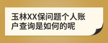 玉林XX保问题个人账户查询是如何的呢