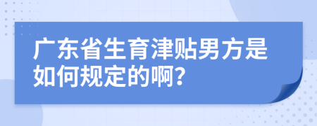 广东省生育津贴男方是如何规定的啊？