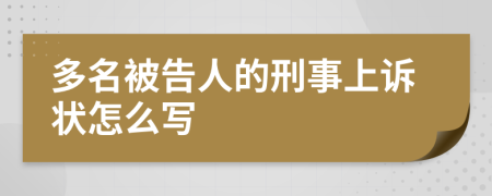 多名被告人的刑事上诉状怎么写