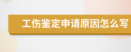 工伤鉴定申请原因怎么写
