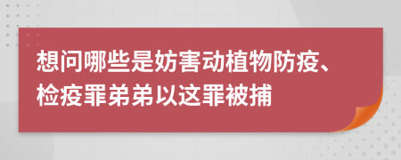 想问哪些是妨害动植物防疫、检疫罪弟弟以这罪被捕