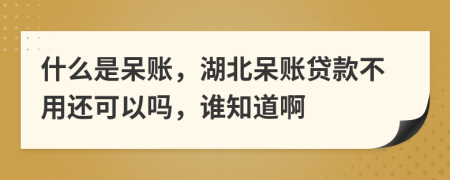 什么是呆账，湖北呆账贷款不用还可以吗，谁知道啊