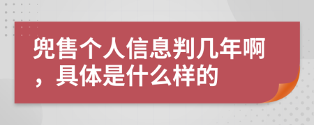 兜售个人信息判几年啊，具体是什么样的