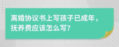 离婚协议书上写孩子已成年，抚养费应该怎么写？