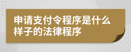 申请支付令程序是什么样子的法律程序