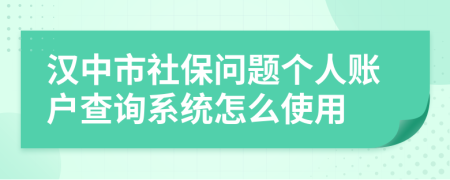 汉中市社保问题个人账户查询系统怎么使用