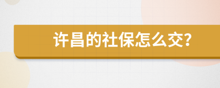 许昌的社保怎么交？