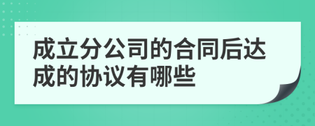 成立分公司的合同后达成的协议有哪些