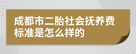 成都市二胎社会抚养费标准是怎么样的