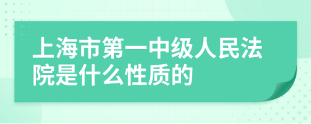 上海市第一中级人民法院是什么性质的