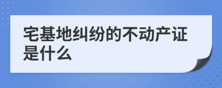 宅基地纠纷的不动产证是什么