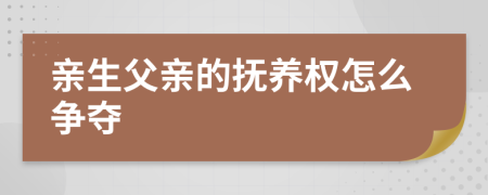 亲生父亲的抚养权怎么争夺