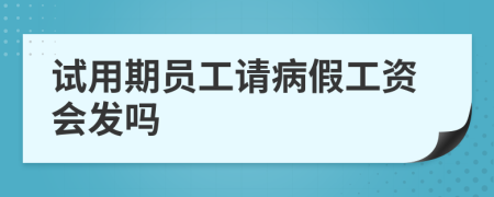 试用期员工请病假工资会发吗