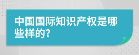 中国国际知识产权是哪些样的？