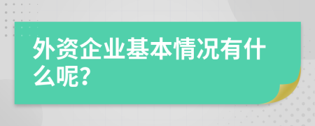 外资企业基本情况有什么呢？