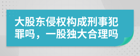 大股东侵权构成刑事犯罪吗，一股独大合理吗