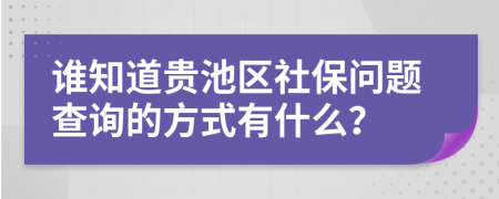 谁知道贵池区社保问题查询的方式有什么？