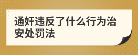 通奸违反了什么行为治安处罚法