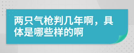 两只气枪判几年啊，具体是哪些样的啊
