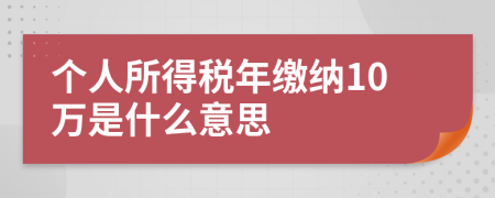 个人所得税年缴纳10万是什么意思