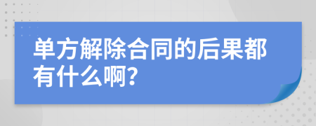 单方解除合同的后果都有什么啊？