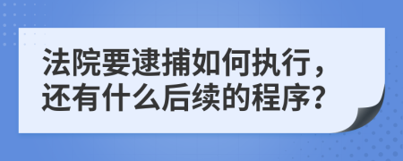 法院要逮捕如何执行，还有什么后续的程序？