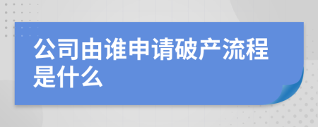 公司由谁申请破产流程是什么