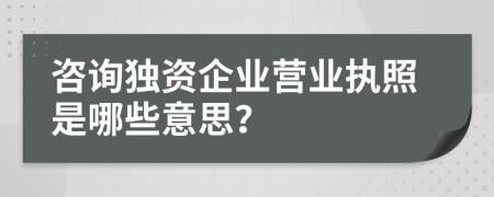 咨询独资企业营业执照是哪些意思？