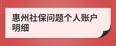 惠州社保问题个人账户明细