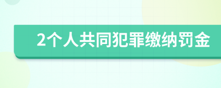 2个人共同犯罪缴纳罚金