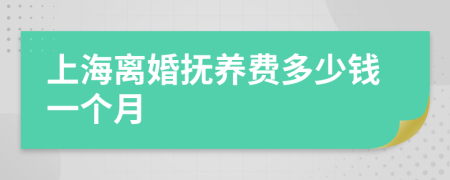 上海离婚抚养费多少钱一个月