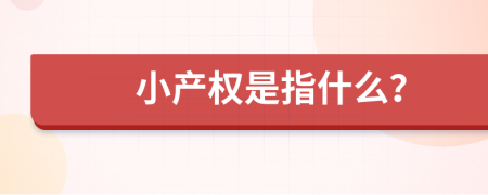 小产权是指什么？